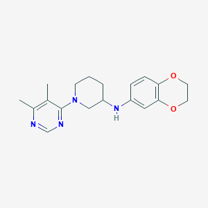 molecular formula C19H24N4O2 B5428182 N-(2,3-dihydro-1,4-benzodioxin-6-yl)-1-(5,6-dimethyl-4-pyrimidinyl)-3-piperidinamine 