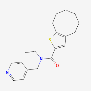 molecular formula C19H24N2OS B5428758 N-ETHYL-N-[(PYRIDIN-4-YL)METHYL]-4H5H6H7H8H9H-CYCLOOCTA[B]THIOPHENE-2-CARBOXAMIDE 