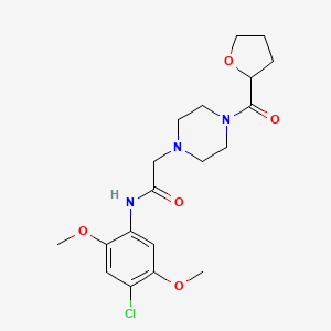 molecular formula C19H26ClN3O5 B5429089 N-(4-chloro-2,5-dimethoxyphenyl)-2-[4-(oxolane-2-carbonyl)piperazin-1-yl]acetamide 