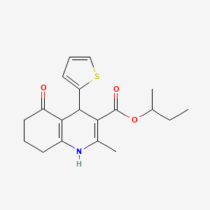 molecular formula C19H23NO3S B5429922 Butan-2-yl 2-methyl-5-oxo-4-(thiophen-2-yl)-1,4,5,6,7,8-hexahydroquinoline-3-carboxylate 