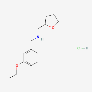 molecular formula C14H22ClNO2 B5431632 N-[(3-ethoxyphenyl)methyl]-1-(oxolan-2-yl)methanamine;hydrochloride 