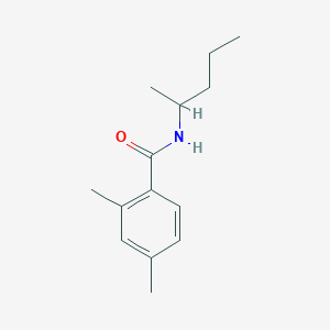 molecular formula C14H21NO B5431782 2,4-dimethyl-N-(1-methylbutyl)benzamide 