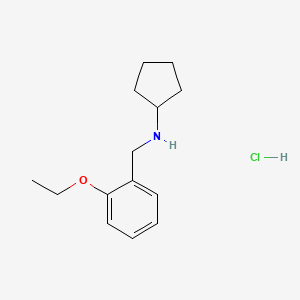 molecular formula C14H22ClNO B5437330 N-[(2-ethoxyphenyl)methyl]cyclopentanamine;hydrochloride 