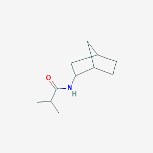 molecular formula C11H19NO B5442004 N-(2-bicyclo[2.2.1]heptanyl)-2-methylpropanamide 