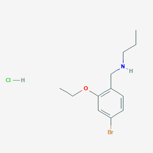 molecular formula C12H19BrClNO B5444152 N-(4-bromo-2-ethoxybenzyl)-1-propanamine hydrochloride 