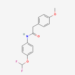 molecular formula C16H15F2NO3 B5445494 N-[4-(difluoromethoxy)phenyl]-2-(4-methoxyphenyl)acetamide 