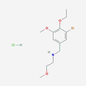 molecular formula C13H21BrClNO3 B5446823 N-[(3-bromo-4-ethoxy-5-methoxyphenyl)methyl]-2-methoxyethanamine;hydrochloride 