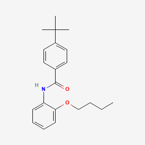 molecular formula C21H27NO2 B5461450 N-(2-butoxyphenyl)-4-tert-butylbenzamide 