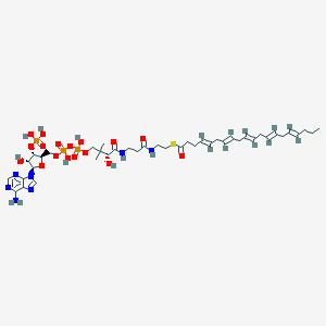 molecular formula C41H64N7O17P3S B054722 Epa-CoA CAS No. 121935-04-4