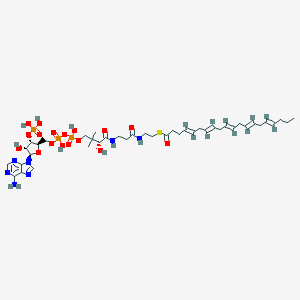 molecular formula C41H64N7O17P3S B054722 Eicosapentaenoic acid-coenzyme A CAS No. 121935-04-4