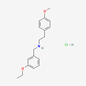 molecular formula C18H24ClNO2 B5481864 N-[(3-ethoxyphenyl)methyl]-2-(4-methoxyphenyl)ethanamine;hydrochloride 