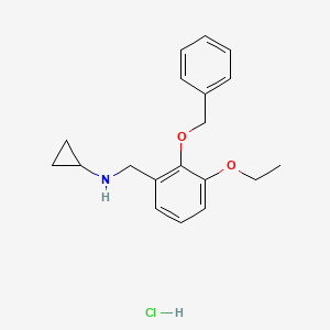 molecular formula C19H24ClNO2 B5486149 N-[(3-ethoxy-2-phenylmethoxyphenyl)methyl]cyclopropanamine;hydrochloride 
