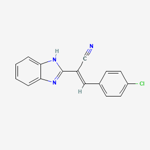 molecular formula C16H10ClN3 B5488622 (2E)-2-(1H-benzimidazol-2-yl)-3-(4-chlorophenyl)prop-2-enenitrile 