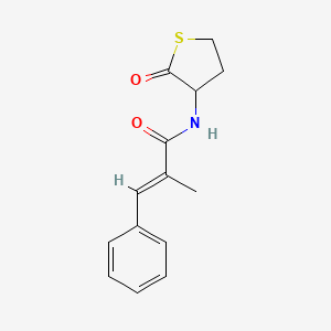 molecular formula C14H15NO2S B5488673 (2E)-2-methyl-N-(2-oxotetrahydrothiophen-3-yl)-3-phenylprop-2-enamide 