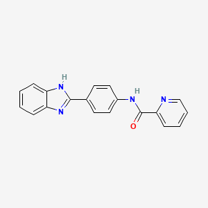 molecular formula C19H14N4O B5496056 N-[4-(1H-benzimidazol-2-yl)phenyl]pyridine-2-carboxamide 