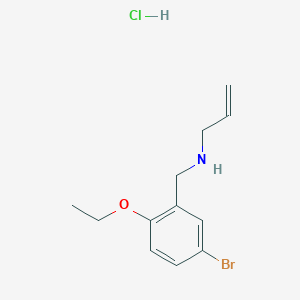 molecular formula C12H17BrClNO B5496601 N-[(5-bromo-2-ethoxyphenyl)methyl]prop-2-en-1-amine;hydrochloride 