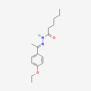 molecular formula C16H24N2O2 B5499355 N-[(E)-1-(4-ethoxyphenyl)ethylideneamino]hexanamide 