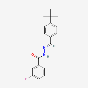 molecular formula C18H19FN2O B5509399 N'-[(E)-(4-tert-butylphenyl)methylidene]-3-fluorobenzohydrazide 