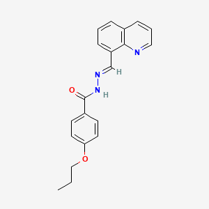 molecular formula C20H19N3O2 B5511279 4-propoxy-N-[(E)-quinolin-8-ylmethylideneamino]benzamide 