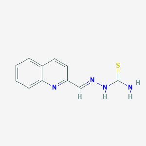 molecular formula C11H10N4S B5513189 (quinolin-2-ylmethylideneamino)thiourea CAS No. 3608-81-9