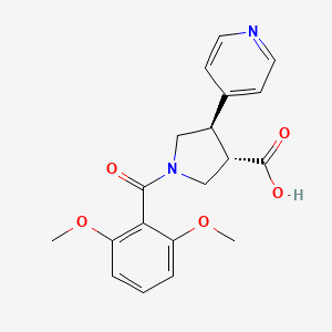 molecular formula C19H20N2O5 B5515402 (3S,4R)-1-(2,6-dimethoxybenzoyl)-4-pyridin-4-ylpyrrolidine-3-carboxylic acid 