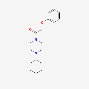 molecular formula C19H28N2O2 B5515762 1-[4-(4-Methylcyclohexyl)piperazin-1-yl]-2-phenoxyethanone 