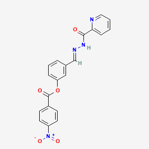molecular formula C20H14N4O5 B5516343 3-[2-(2-pyridinylcarbonyl)carbonohydrazonoyl]phenyl 4-nitrobenzoate 