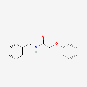 molecular formula C19H23NO2 B5519279 N-Benzyl-2-(2-tert-butyl-phenoxy)-acetamide 