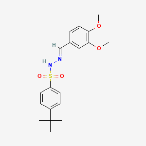 molecular formula C19H24N2O4S B5520886 4-tert-butyl-N-[(E)-(3,4-dimethoxyphenyl)methylideneamino]benzenesulfonamide 