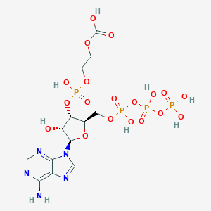 molecular formula C13H21N5O19P4 B055232 Phosphoglyceroyl-ATP CAS No. 124199-67-3