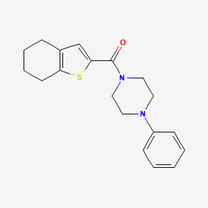 molecular formula C19H22N2OS B5525668 1-phenyl-4-(4,5,6,7-tetrahydro-1-benzothiophene-2-carbonyl)piperazine 