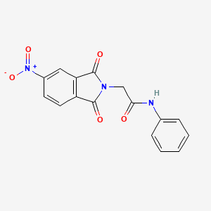 molecular formula C16H11N3O5 B5526125 2-(5-nitro-1,3-dioxo-1,3-dihydro-2H-isoindol-2-yl)-N~1~-phenylacetamide 