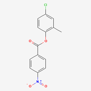 molecular formula C14H10ClNO4 B5526430 (4-Chloro-2-methylphenyl) 4-nitrobenzoate 