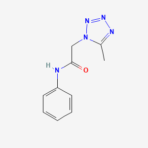 molecular formula C10H11N5O B5526542 2-(5-methyltetrazol-1-yl)-N-phenylacetamide 