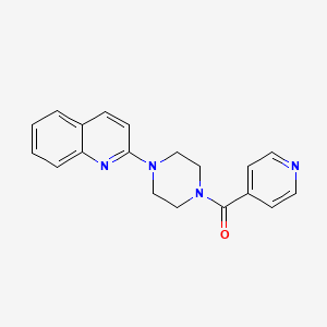 molecular formula C19H18N4O B5526930 2-[4-(PYRIDINE-4-CARBONYL)PIPERAZIN-1-YL]QUINOLINE 