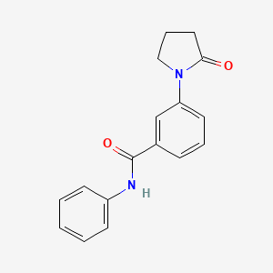 molecular formula C17H16N2O2 B5528927 3-(2-Oxo-pyrrolidin-1-yl)-N-phenyl-benzamide 