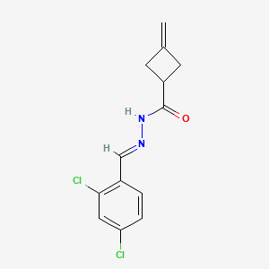 molecular formula C13H12Cl2N2O B5529389 N-[(E)-(2,4-dichlorophenyl)methylideneamino]-3-methylidenecyclobutane-1-carboxamide 