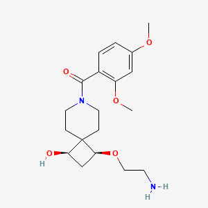 molecular formula C19H28N2O5 B5530910 [(1R,3S)-3-(2-aminoethoxy)-1-hydroxy-7-azaspiro[3.5]nonan-7-yl]-(2,4-dimethoxyphenyl)methanone 