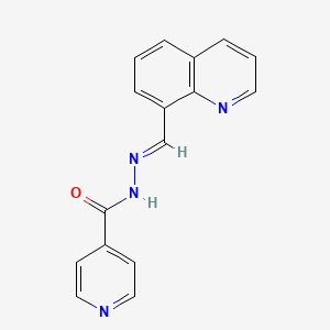 molecular formula C16H12N4O B5531338 N-[(E)-quinolin-8-ylmethylideneamino]pyridine-4-carboxamide 