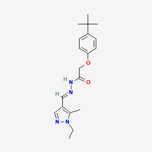 molecular formula C19H26N4O2 B5534455 2-[4-(TERT-BUTYL)PHENOXY]-N'-[(E)-1-(1-ETHYL-5-METHYL-1H-PYRAZOL-4-YL)METHYLIDENE]ACETOHYDRAZIDE 