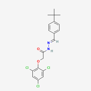 molecular formula C19H19Cl3N2O2 B5534762 N-[(E)-(4-tert-butylphenyl)methylideneamino]-2-(2,4,6-trichlorophenoxy)acetamide 