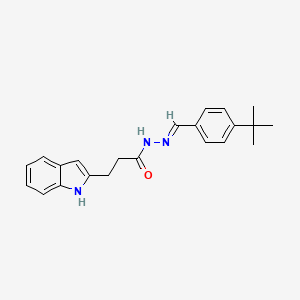 molecular formula C22H25N3O B5536072 N-[(E)-(4-tert-butylphenyl)methylideneamino]-3-(1H-indol-2-yl)propanamide 
