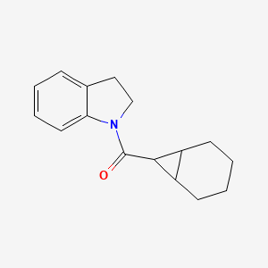 molecular formula C16H19NO B5536173 7-Bicyclo[4.1.0]heptanyl(2,3-dihydroindol-1-yl)methanone 