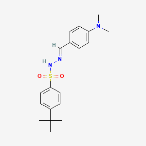 molecular formula C19H25N3O2S B5536451 4-tert-butyl-N-[(E)-[4-(dimethylamino)phenyl]methylideneamino]benzenesulfonamide 