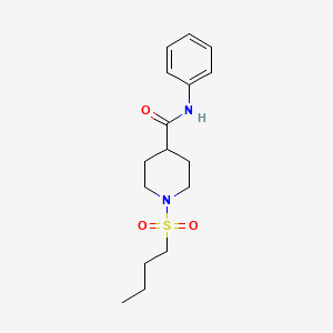 molecular formula C16H24N2O3S B5537280 1-butylsulfonyl-N-phenylpiperidine-4-carboxamide 