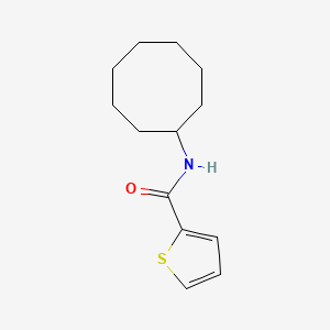 molecular formula C13H19NOS B5539779 N-cyclooctylthiophene-2-carboxamide 