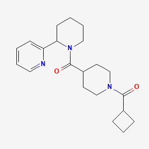molecular formula C21H29N3O2 B5541114 2-(1-{[1-(cyclobutylcarbonyl)-4-piperidinyl]carbonyl}-2-piperidinyl)pyridine 