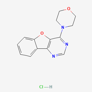 molecular formula C14H14ClN3O2 B5544146 4-Morpholin-4-yl-[1]benzofuro[3,2-d]pyrimidine;hydrochloride 