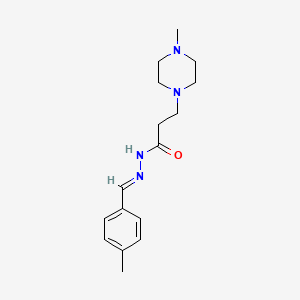 molecular formula C16H24N4O B5544297 N-[(E)-(4-methylphenyl)methylideneamino]-3-(4-methylpiperazin-1-yl)propanamide 