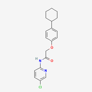 molecular formula C19H21ClN2O2 B5546549 N-(5-chloropyridin-2-yl)-2-(4-cyclohexylphenoxy)acetamide 